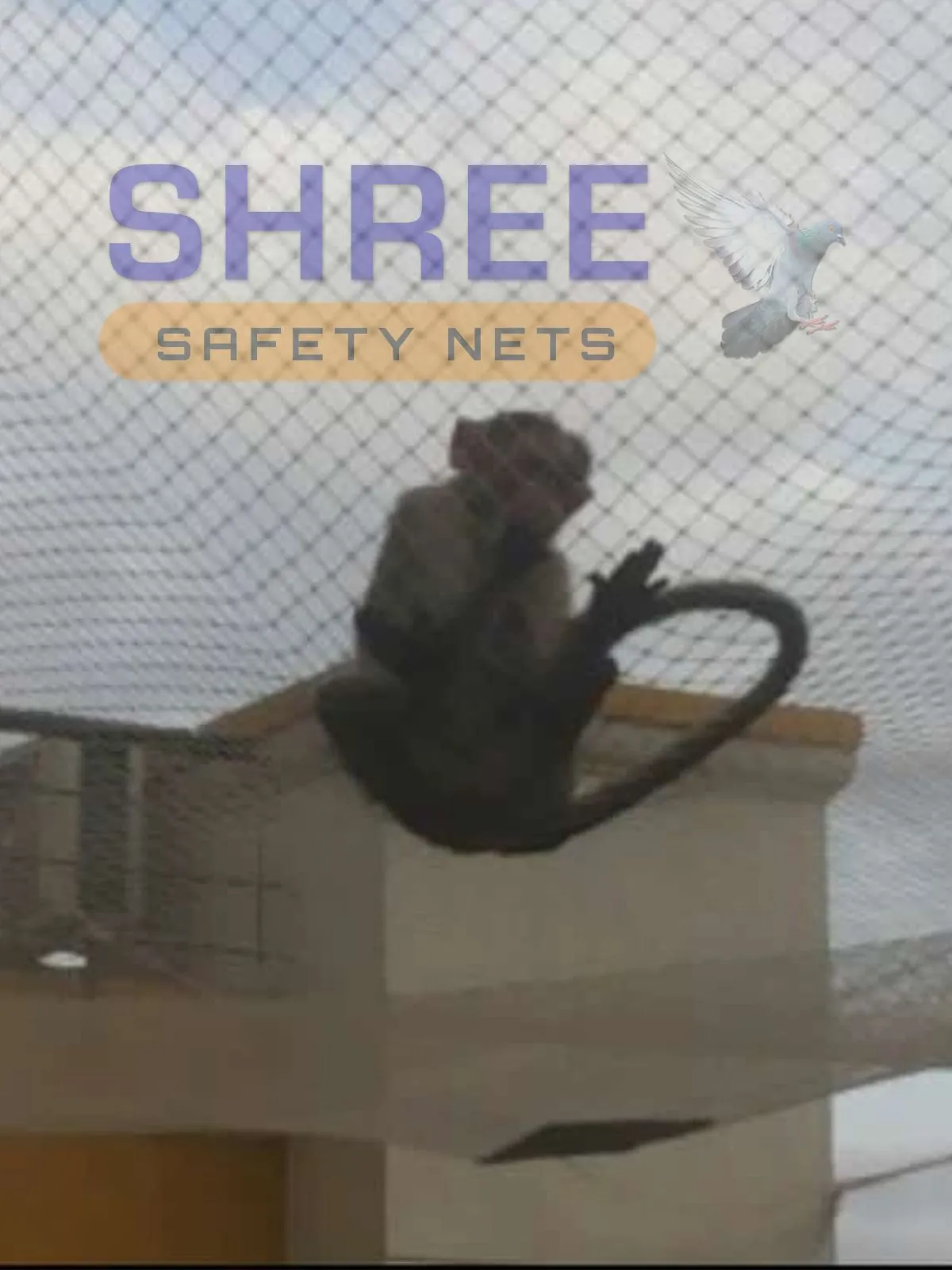 Monkey Safety Nets Chennai