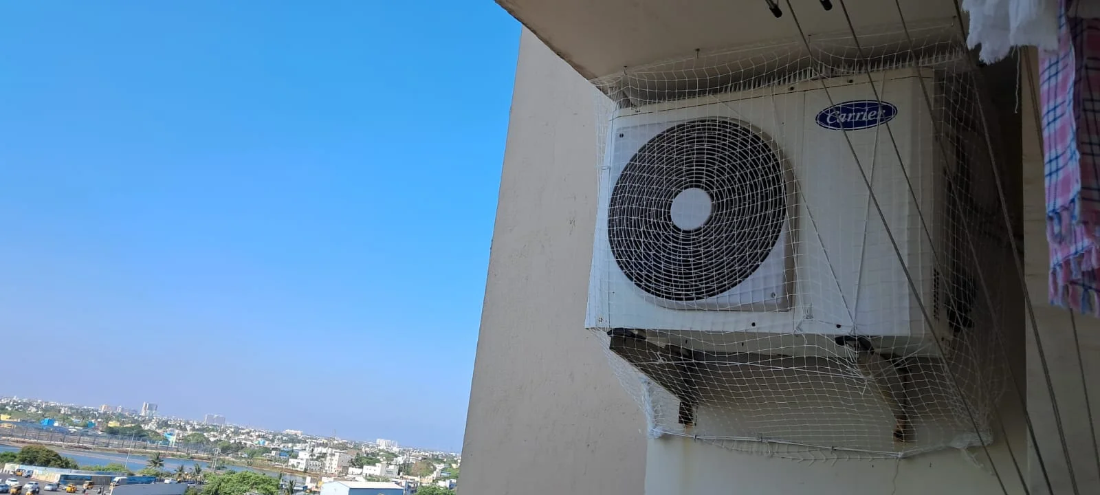solution for pigeon issues