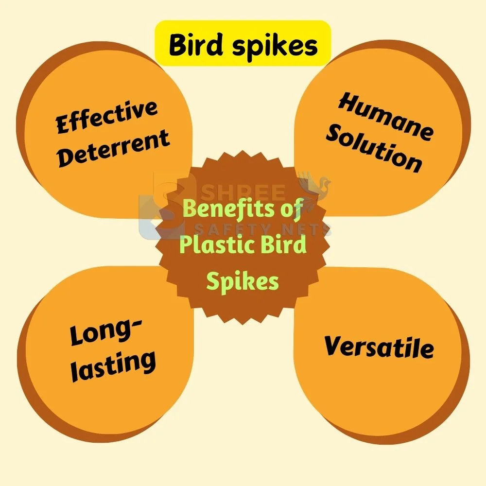 Benefits of Bird Spikes