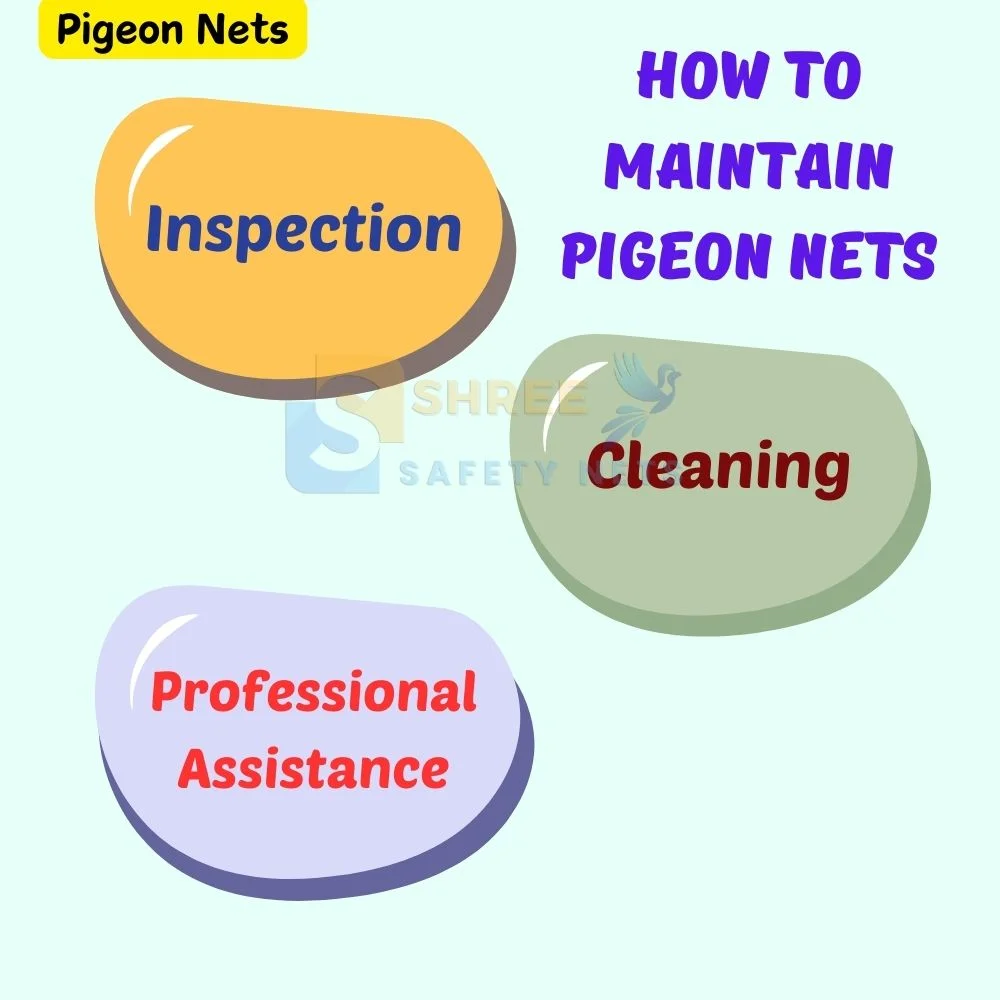 How to Maintain Pigeon Nets
