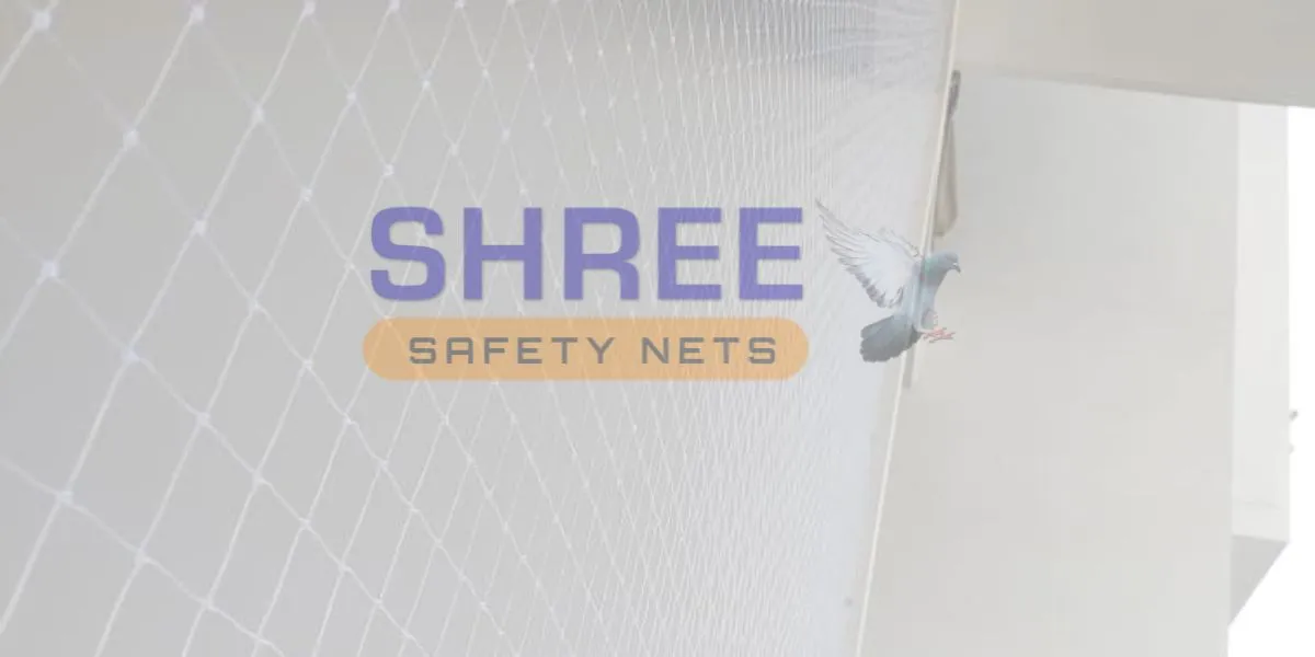 Seagull Nets in Chennai