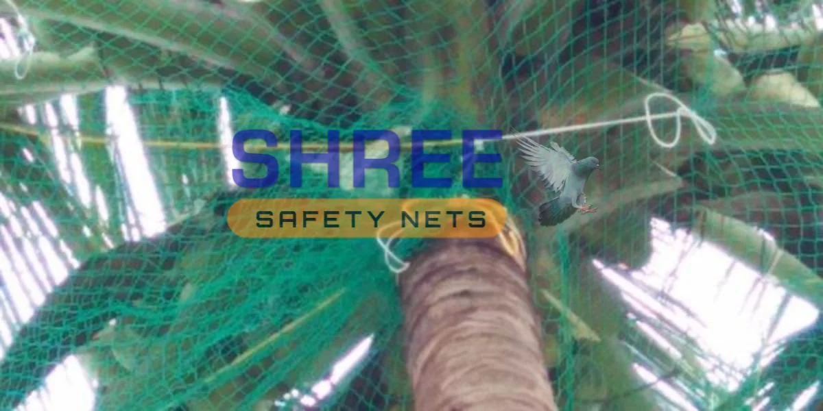 Coconut tree Safety Nets Near Me