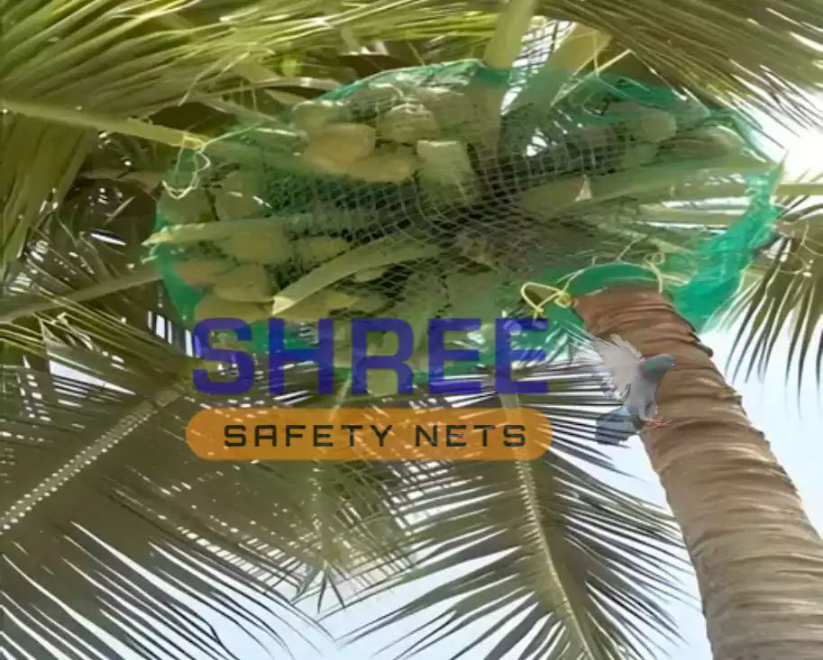 coconut tree nets