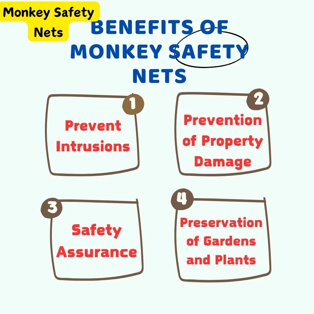 monkey net installation