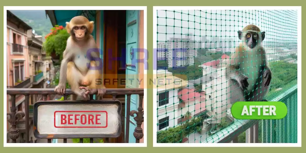 Monkey Prevention Nets  in Chennai